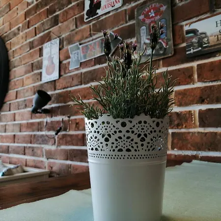 Radosevac アパート *