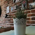 Radosevac Beach Apartman *