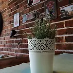 Radosevac Beach Apartman *